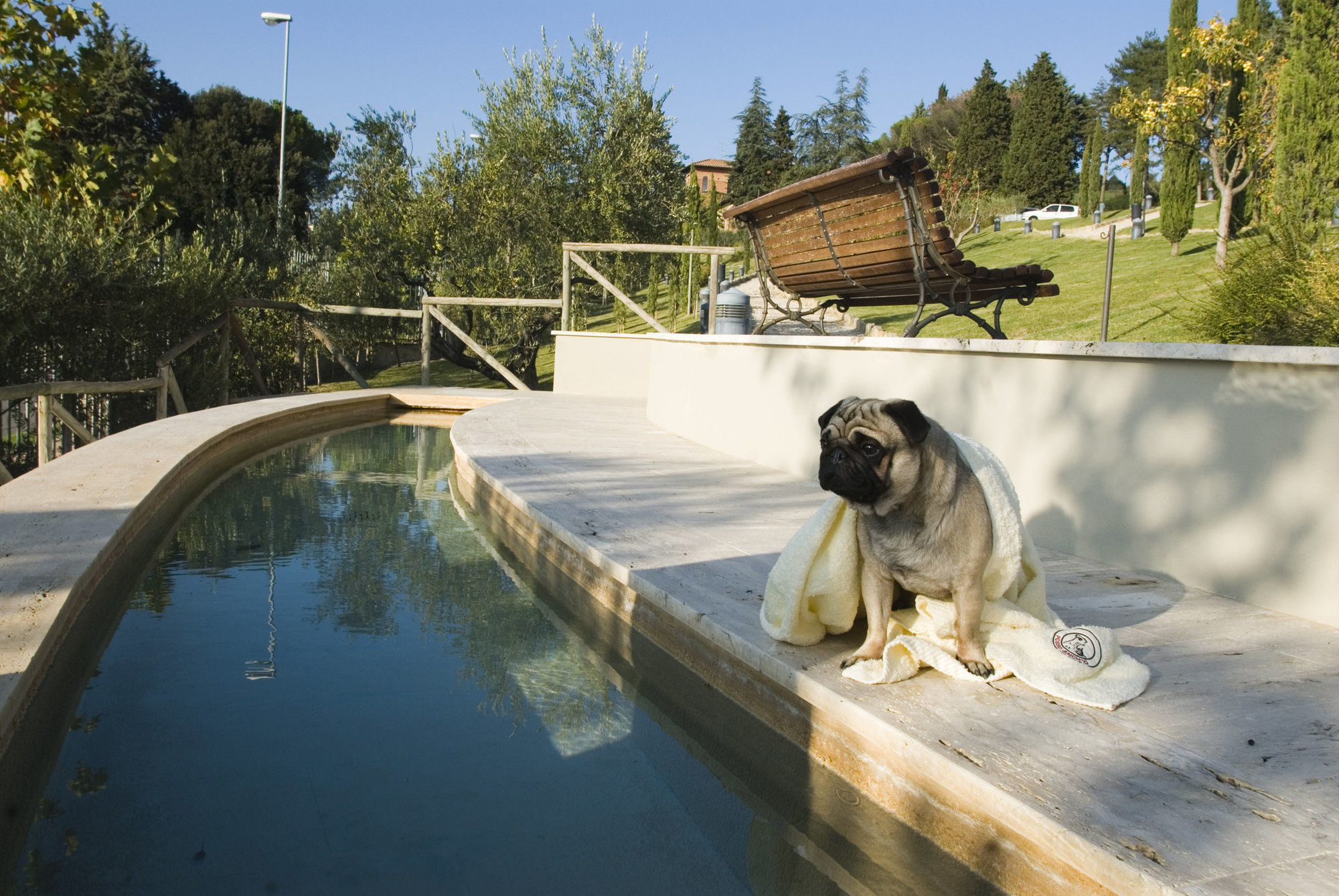 Fonteverde Lifestyle & Thermal Retreat - The Leading Hotels Of The World San Casciano dei Bagni Facilities photo A dog at a swimming pool